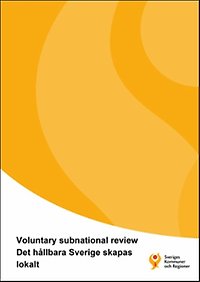 Voluntary subnational review